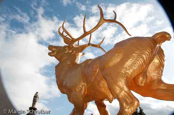 Der goldene Hirsch auf der Venusterrasse