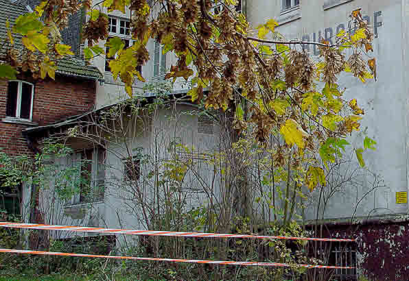 Innenhof im Herbst