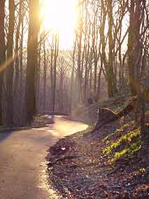 Impressionen an der Hirschburg